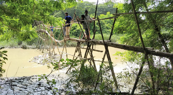 বাঁশের সাঁকোই ভরসা দুই গ্রামের মানুষের
