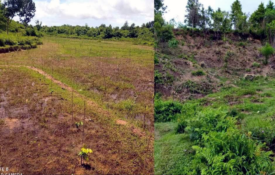 লোহাগাড়ায় চুনতি অভয়ারণ্যের জায়গা জবর-দখল উচ্ছেদ অভিযান
