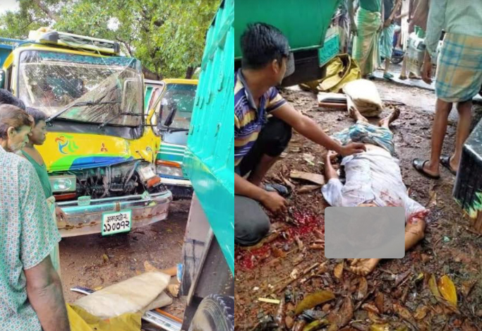 চকরিয়ায় ট্রাকের ধাক্কায় এক বৃদ্ধা নিহত 