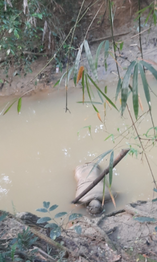 চন্দনাইশে অজ্ঞাত যুবকের লাশ উদ্ধার 