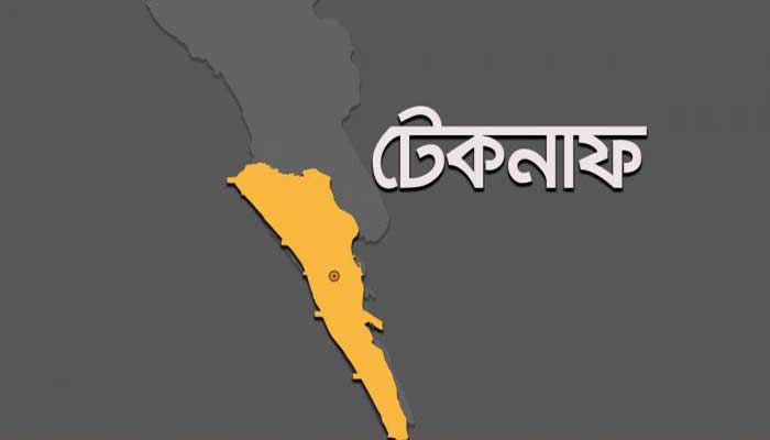 টেকনাফে চার লক্ষ ২৪ হাজার ইয়াবা উদ্ধার করেছে বিজিবি