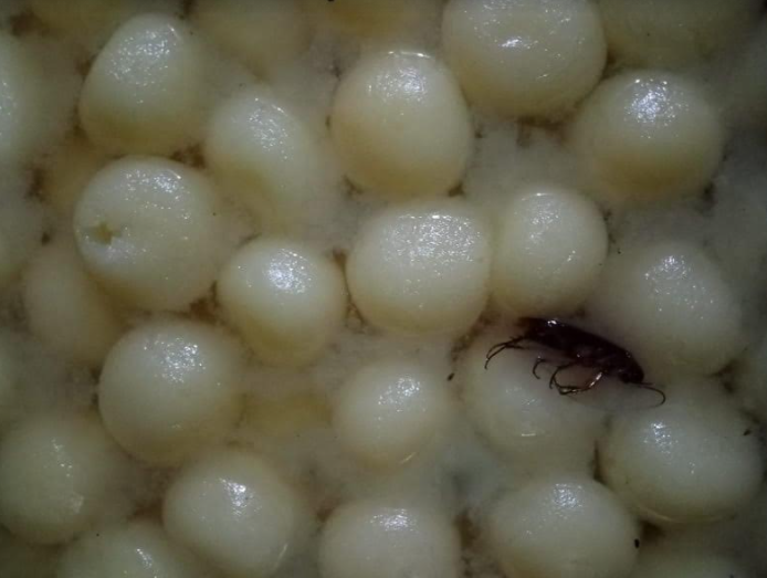 হাটহাজারীতে মিষ্টিতে তেলাপোকা : ভ্রাম্যমাণ আদালতের অভিযান, ৩০ হাজার টাকা জরিমানা