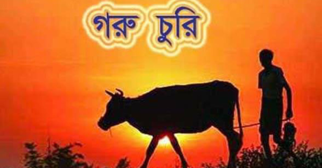 চন্দনাইশে ৩দিনে ৮টি গরু চুরি