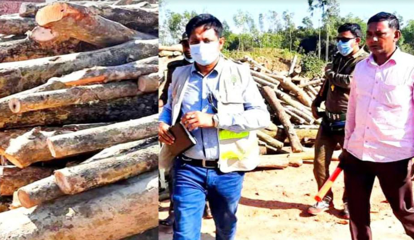পদুয়া বনবিভাগের অভিযানঃ ৩’শ ঘনফুট অবৈধ জ্বালানী কাঠ জব্দ