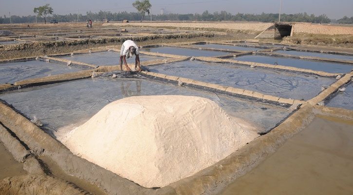 বাঁশখালীর সাগর তীরে ‘সাদা সোনা’ উৎপাদন