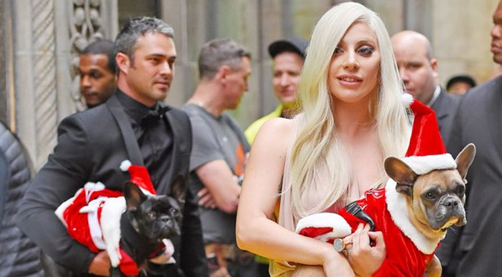 গুলি করে লেডি গাগার কুকুর ছিনতাই, খোঁজ দিলে ৪ কোটি টাকা