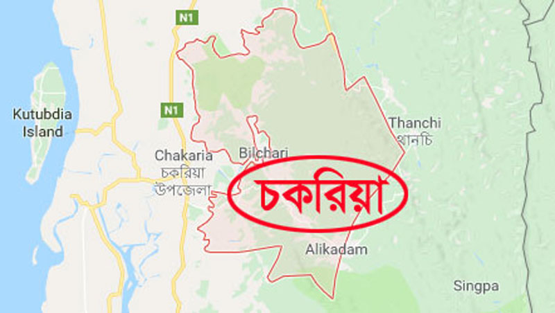 চকরিয়ায় আগুনে তিন ভাই-বোনের মৃত্যু