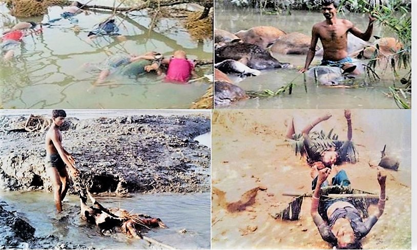 ভয়াল ২৯ এপ্রিল আজ, উপকূল এখনও অরক্ষিত