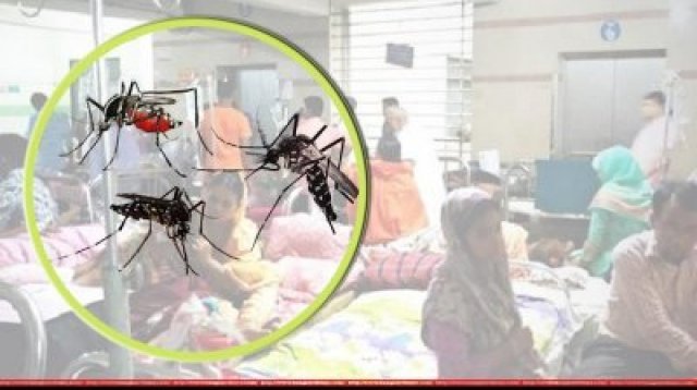 ২৪ ঘণ্টায় ২৫৭ ডেঙ্গু রোগী হাসপাতালে ভর্তি