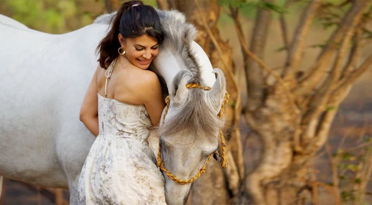 ৫২ লাখের ঘোড়া উপহার পেয়ে বিপাকে জ্যাকুলিন