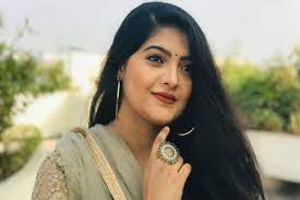 এন আই বুলবুলের কথায় নতুন বছরে সালমার প্রথম গান