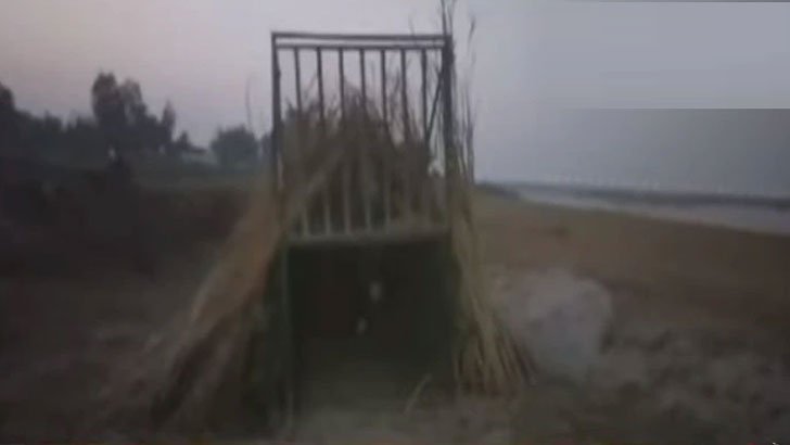 বাঘ আতঙ্কে নির্ঘুম রাত, পশ্চিমবঙ্গে ট্র্যাপ ক্যামেরা