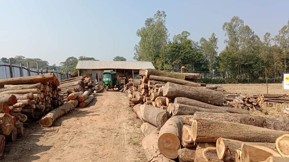 হাটহাজারীতে অবৈধ করাত কল