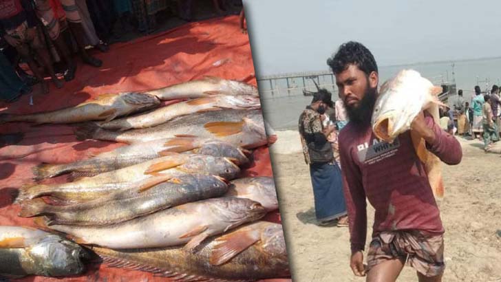 এক রাতেই লাখপতি দুই জেলে