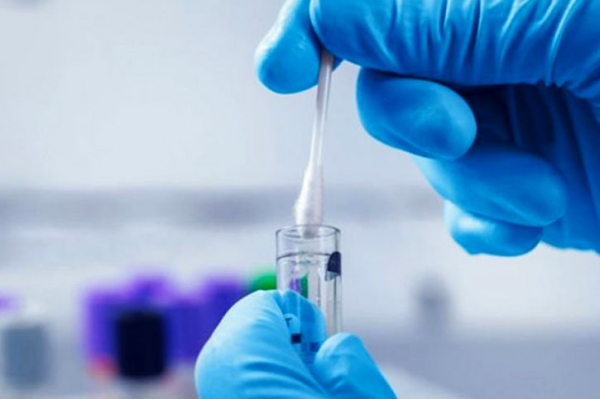 করোনায় মৃত্যু নেই, নতুন শনাক্ত ৩০