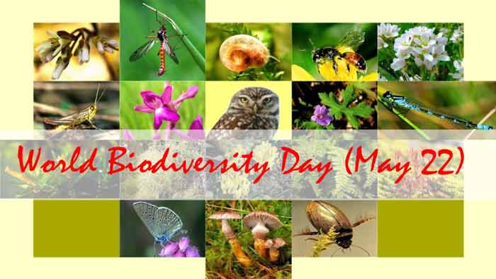   জীববৈচিত্র্য সংরক্ষণে এগিয়ে আসি 'পরিবেশ সংরক্ষণের জ্ঞানার্জন করি 