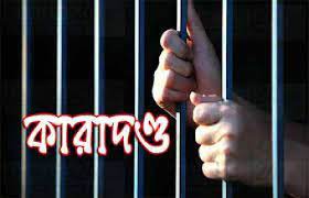অস্ত্র মামলায় ৩ জনের ১৭ বছর কারাদণ্ড 