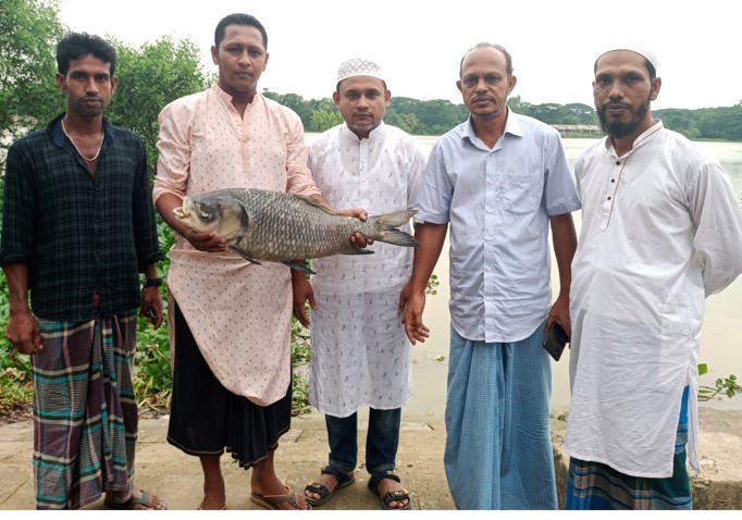 হালদা নদী থেকে আরও একটি মৃত মা মাছ উদ্ধার