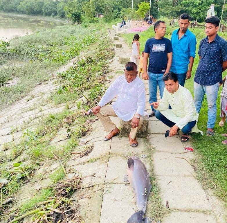 হালদায় মৃত ডলফিন উদ্ধার