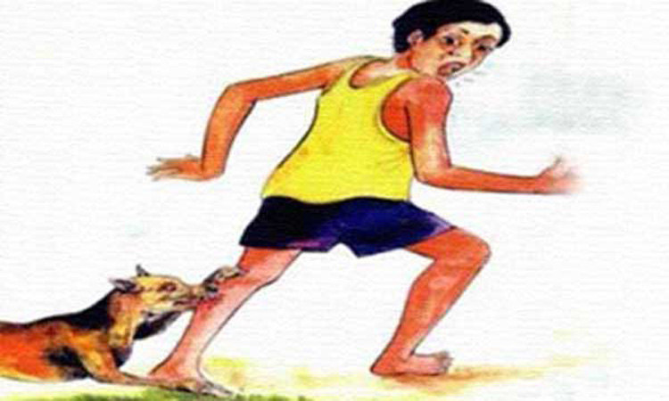 রাঙ্গুনিয়ায় কুকুরের কামড়ে আহত ৯ 