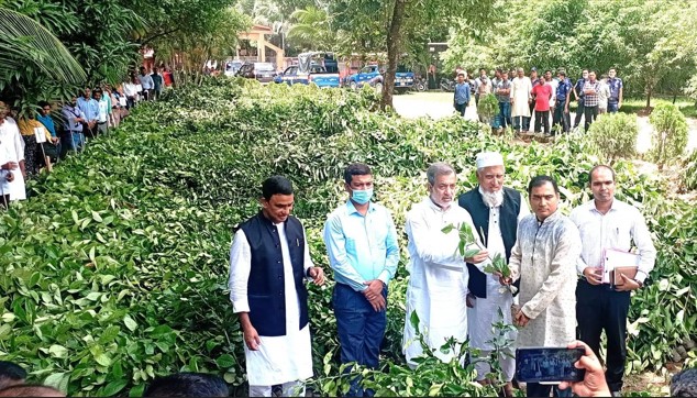 রাউজানে নিজ অর্থায়নে ৩৫ হাজার ফলদ গাছের চারা বিতরণ করেন ফজলে করিম চৌধুরী এমপি