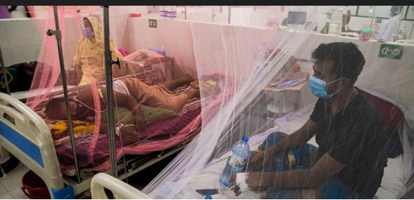  চট্টগ্রামে ডেঙ্গুতে আরও ১৭ জন আক্রান্ত