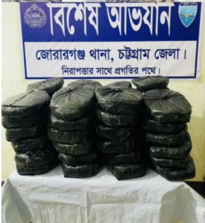 জোরারগঞ্জ থানার মাদকবিরোধী অভিযানে ৪৮ কেজি গাঁজাসহ গ্রেফতার ১