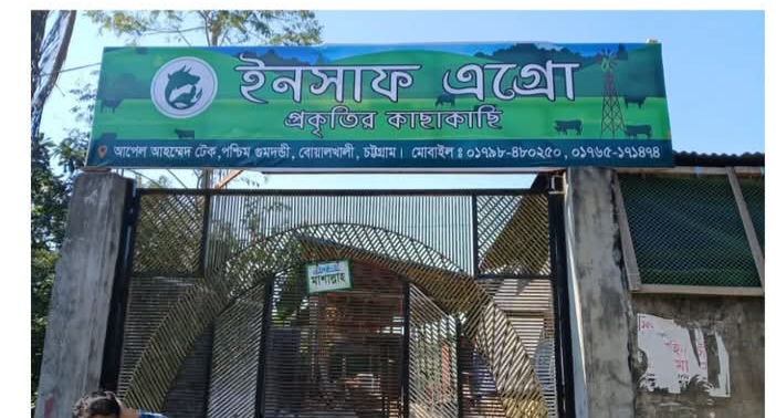 বোয়ালখালীতে অস্ত্রের ধরে জিম্মি করে গরু লুট
