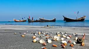  সেন্টমার্টিন দ্বীপ উন্মুক্তের দাবিতে মতবিনিময় সভা: উপদেষ্টা রিজওয়ানার গুরুত্বপূর্ণ ভূমিকা