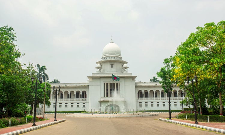 গাছ কাটতে লাগবে অনুমতি, হাইকোর্টের রায়