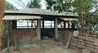 চট্টগ্রামে ওসির বাড়িতে অস্ত্র ঠেকিয়ে গরু লুট