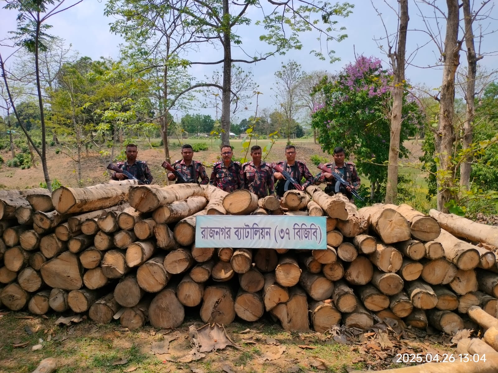 রাঙামাটিতে বিজিবি'র ৩১ অভিযানে বিপুল পরিমাণ অবৈধ কাঠ জব্দ