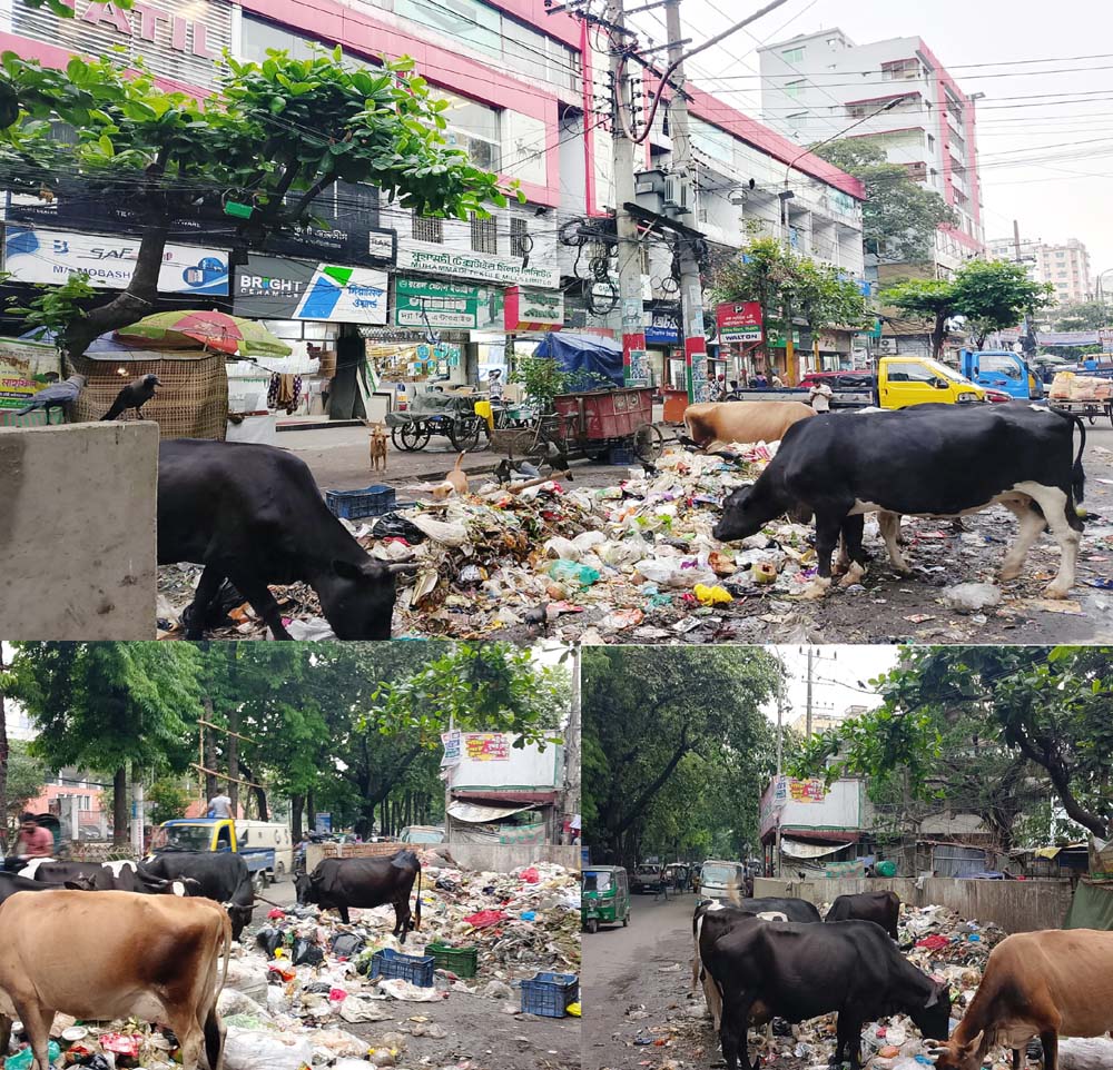 কাজির দেউরিতে দানব ডাস্টবিনের দাপট !