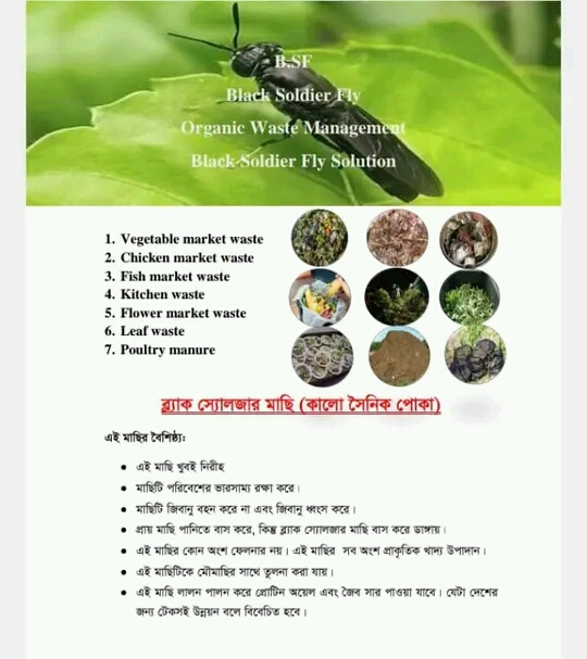 রপ্তানিতে আয় হাজার কোটি টাকা, ময়লা-আবর্জনা হবে সম্পদ!