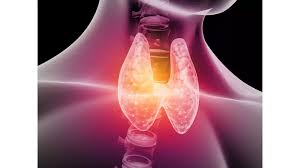 বিশ্ব থাইরয়েড দিবস : প্রতিরোধ করতে প্রয়োজন সঠিক রোগ নির্ণয় ও আদর্শ  চিকিৎসা পদ্ধতি 