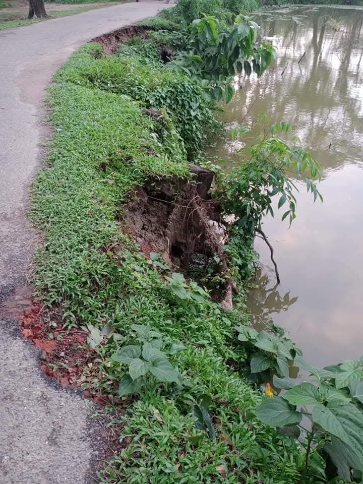 বোয়ালখালী  ইমামুল্লার চর সড়ক পুকুরের পেটে