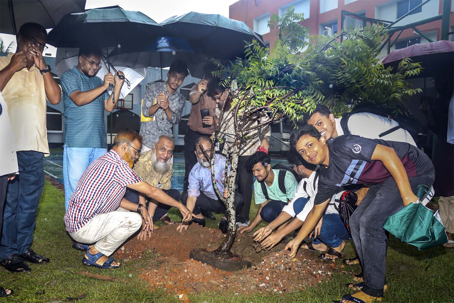 সিভাসু’তে মাসব্যাপী বৃক্ষরোপণ কর্মসূচির উদ্বোধন
