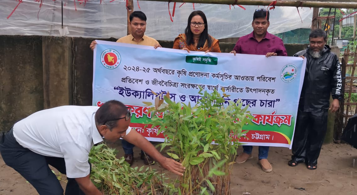 চন্দনাইশে আকাশমনি ও ইউক্যালিপটাসের চারা ধ্বংস ও ক্ষতিপূরন কার্যক্রম 