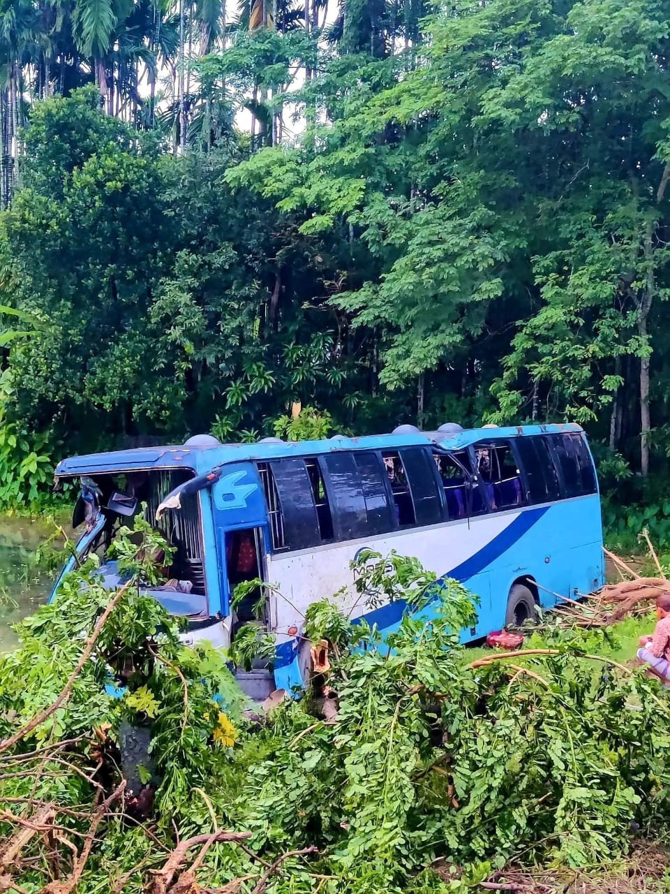 কক্সবাজারে যাত্রীবাহী বাস বিলে, আহত ১৮ 