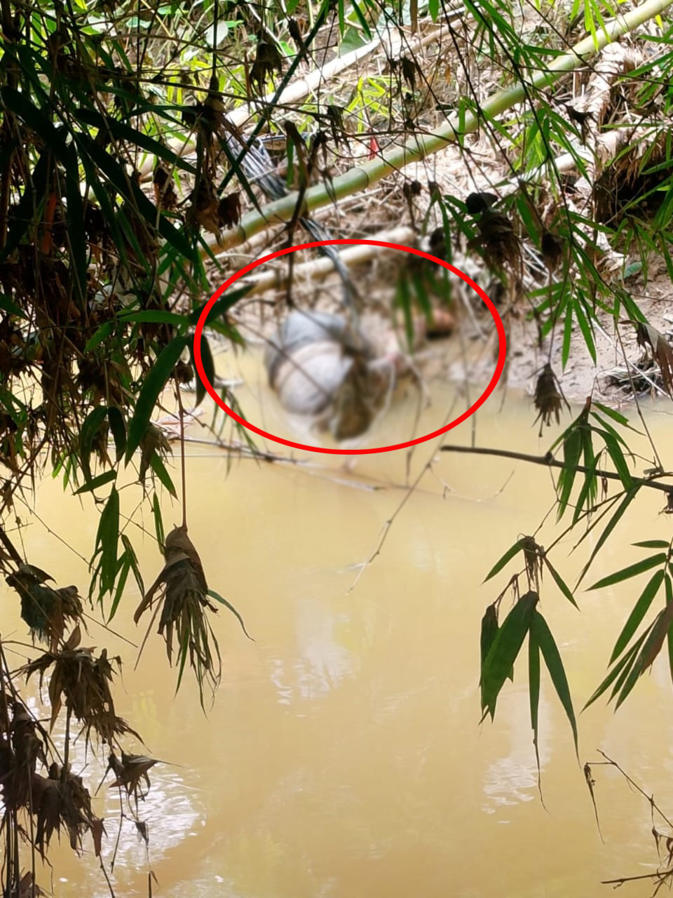 ফটিকছড়িতে নিখোঁজ রিকশাচালকের হাত-পা বাঁধা লাশ উদ্ধার