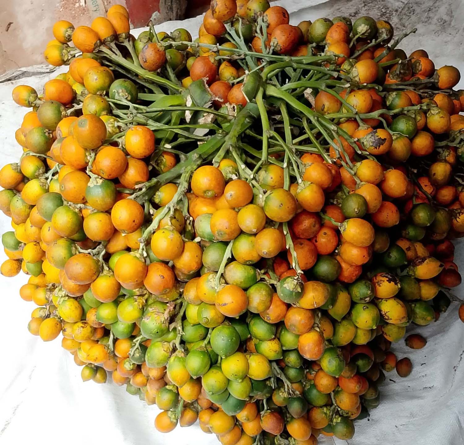 হাটবাজারে সুপারির ন্যায্য দাম না পেয়ে হতাশ চাষীরা