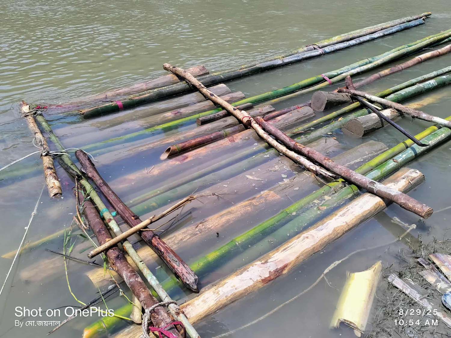 আলীকদমে বনবিভাগ ও বিজিবির অভিযানে বিপুল সেগুন কাঠ-বাঁশ জব্দ