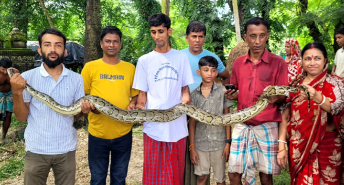 বোয়ালখালীতে মাছ ধরার ফাঁদে আটকালো অজগর