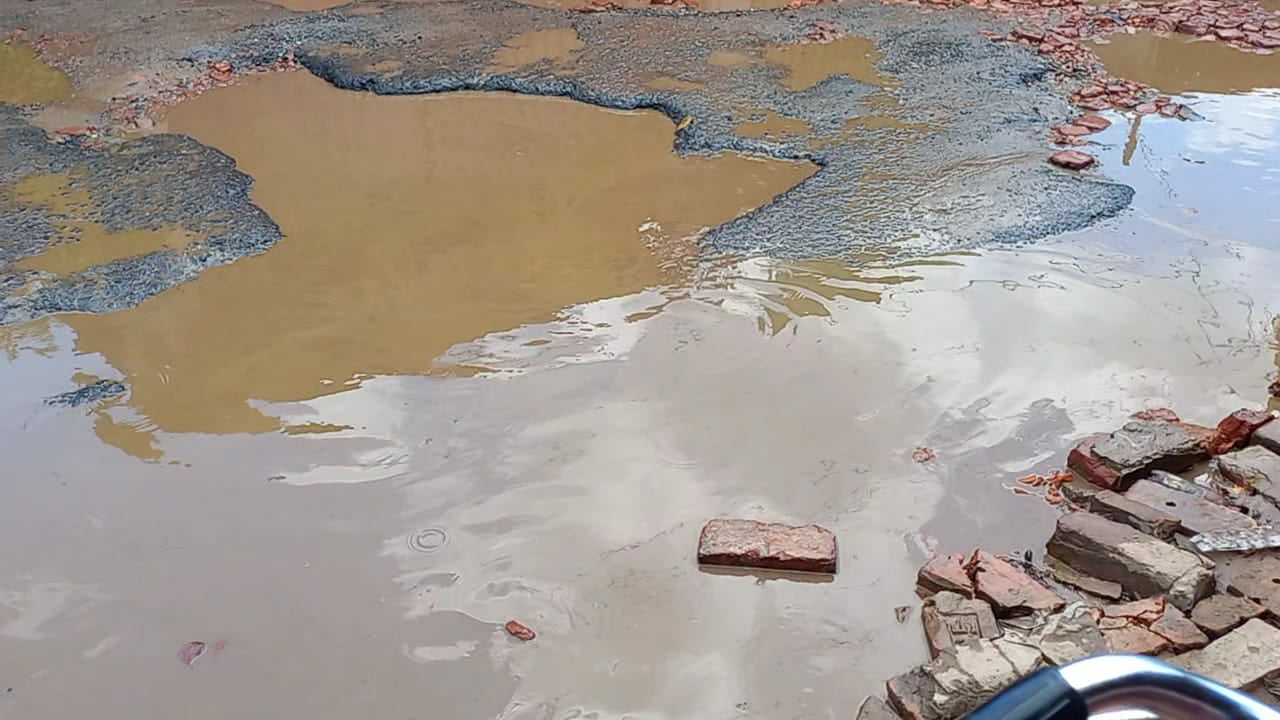 নোয়াপাড়া সেকশন-১ সড়ক এর বেহাল দশা !