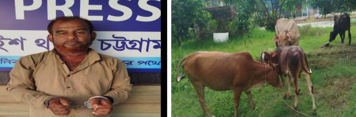  চন্দনাইশে ৪ চোরাই গরুসহ ২ চোর আটক