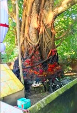 বোয়ালখালীতে বুদ্ধ মূর্তি ও বোধিবৃক্ষের চীবর পুড়িয়ে দেওয়ার অভিযোগ