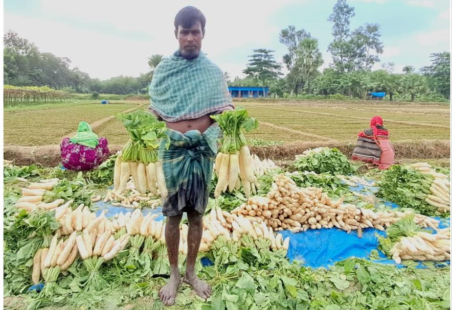 ফটিকছড়ির বাজারে শীতের সবজির ছড়াছড়ি লাভের মুখে শুধু মধ্যস্বত্বভোগী