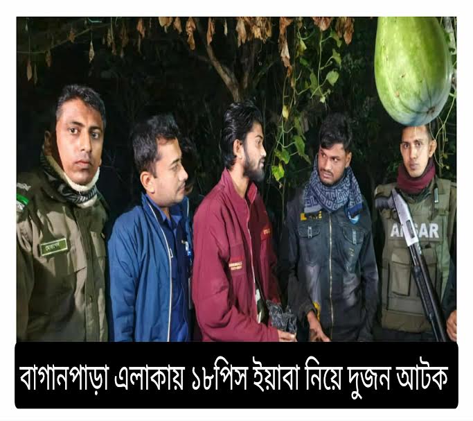 আলীকদমে ইয়াবাসহ আটক ৩ যুবক