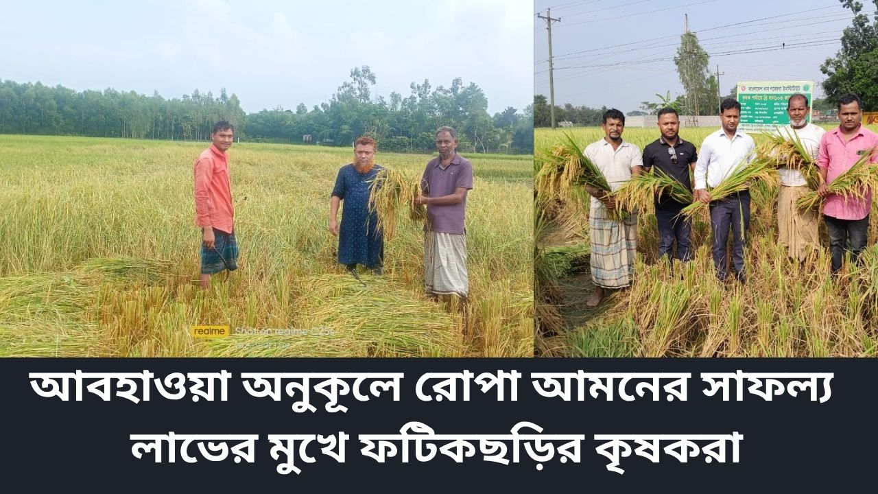 রোপা আমনে রেকর্ড ফলন ফটিকছড়িতে কৃষকের ঘরে সোনালি স্বপ্ন