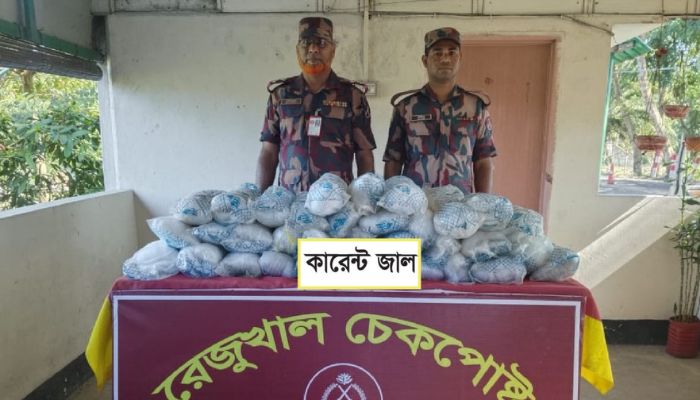 উখিয়ায় বিজিবির অভিযানে ৮৫টি কারেন্ট জাল উদ্ধার